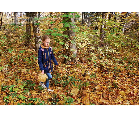 
                Mädchen, Spaziergang, Herbstwald                   