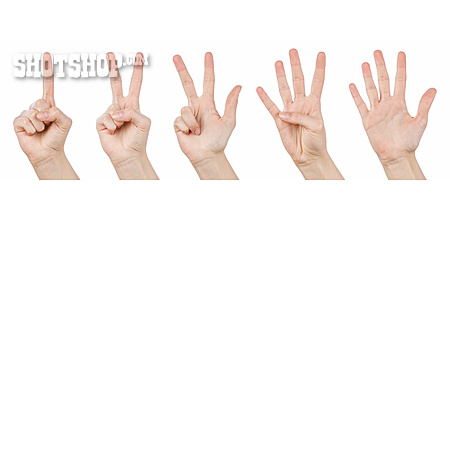 
                Finger, Hand, Zählen, 5                   