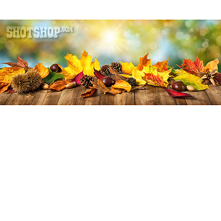 
                Herbstlaub, Herbstlich, Holztisch                   