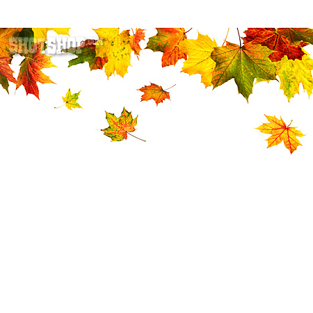 
                Herbstlaub, Herbstblatt, Herbstfärbung                   