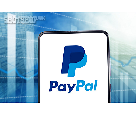 
                Paypal                   