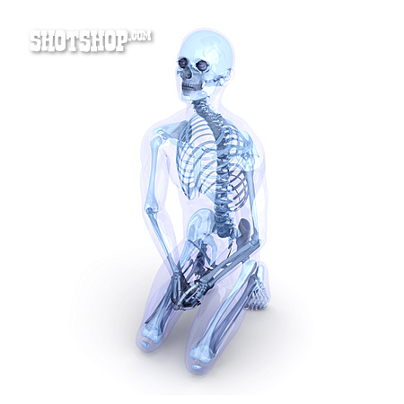
                Knochen, Skelett, Anatomie                   