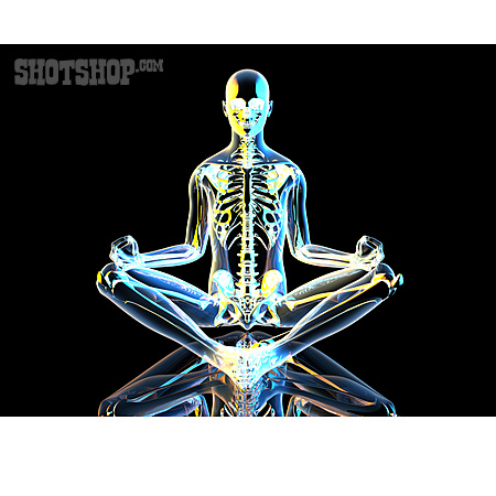 
                Yoga, Skelett, Anatomie                   