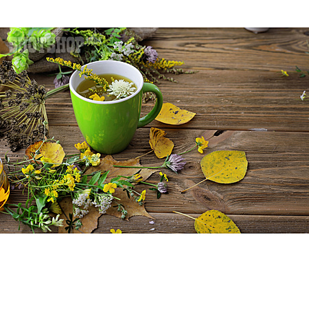
                Health, Autumn, Herbal Tea                   
