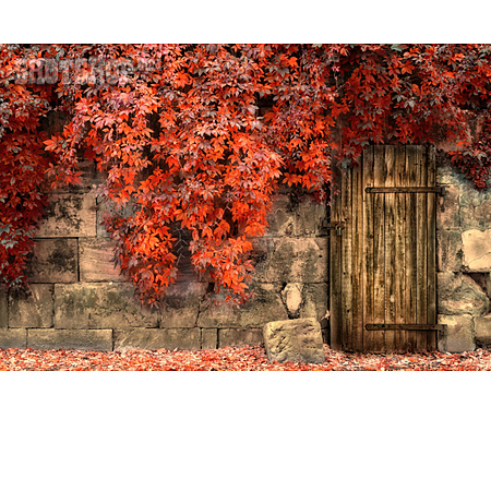 
                Herbstlaub, Mauerwerk, Tür                   