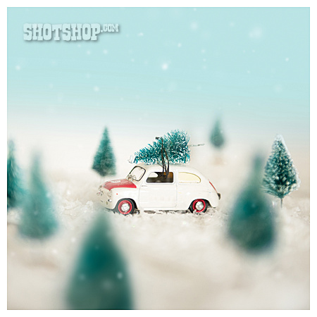 
                Transport, Auto, Weihnachtsbaum                   