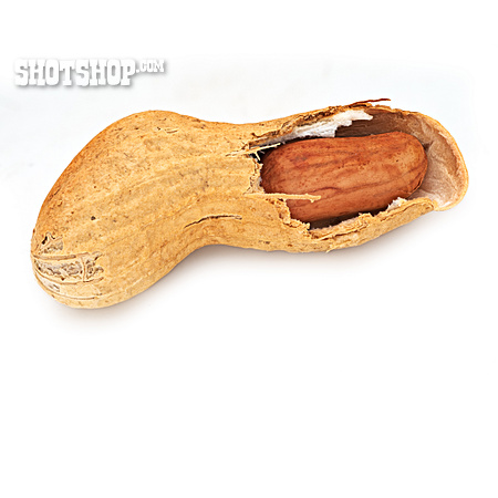 
                Erdnuss                   