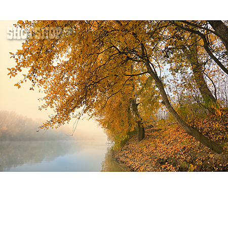 
                Herbst, Nebelig, Fluss                   