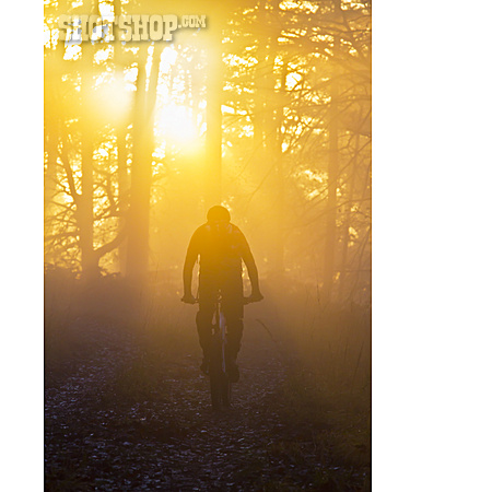 
                Wald, Mountainbiker, Morgenlicht                   