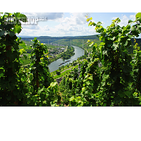 
                Rheinland-pfalz, Moseltal, Weinbaugebiet                   