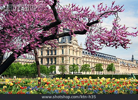 
                Jardin Des Tuileries, Palais Des Tuileries                   