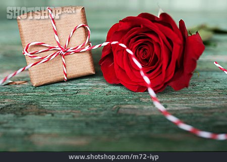 
                Geschenk, Valentinstag, Rote Rose                   