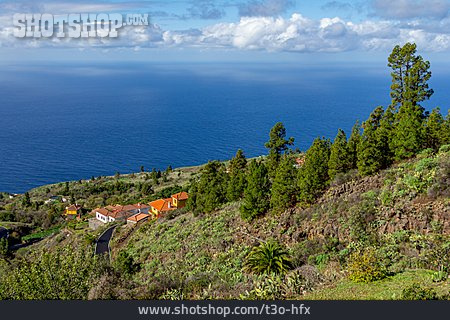 
                Küste, La Palma, Atlantischer Ozean                   