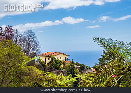 
                Ferienhaus, Madeira                   