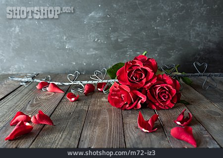 
                Rosen, Rote Rosen, Rosenstrauß                   