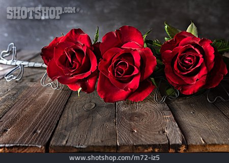 
                Liebe, Valentinstag, Rote Rosen                   