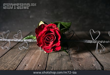 
                Valentinstag, Rote Rose                   