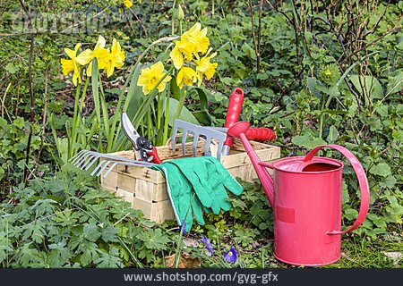 
                Gartenarbeit, Gärtnern, Gartenwerkzeug                   