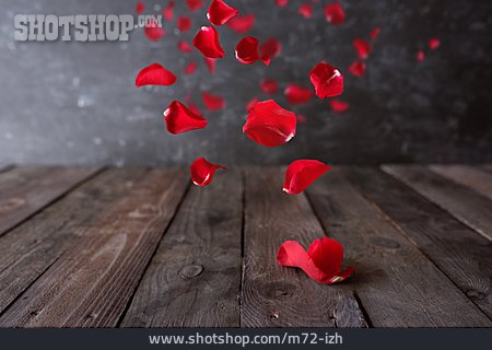 
                Liebe, Rosenblätter, Romantisch                   