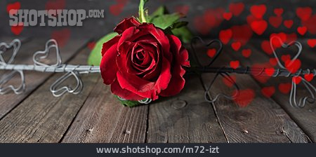 
                Valentinstag, Rote Rose, Herzen                   