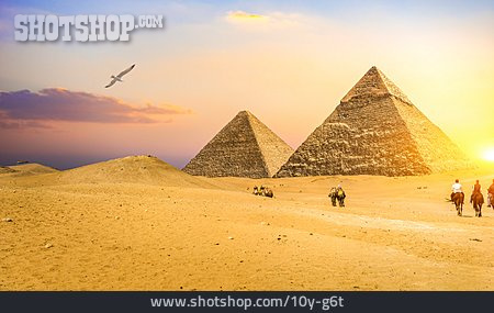
                Sonnenaufgang, Pferde, Reiter, Pyramiden Von Gizeh                   
