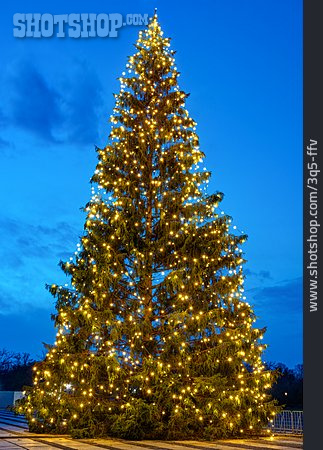 
                Lichterkette, Weihnachtsbaum                   
