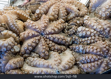 
                Meeresfrüchte, Octopus                   