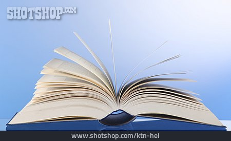 
                Buch, Literatur, Wissen                   