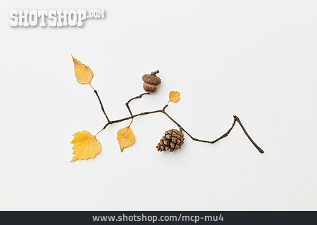 
                Zweig, Baumfrucht, Herbstdekoration                   