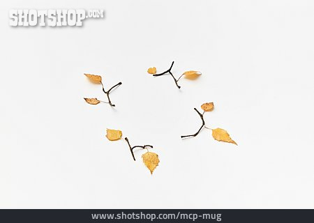 
                Herbst, Zweig, Herbstblatt, Herbstdekoration                   