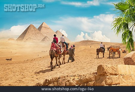 
                Touristen, Pyramiden Von Gizeh, Kamelritt                   