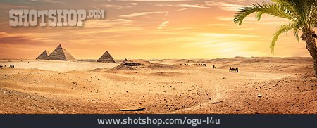 
                Wüste, Pyramide, Pyramiden Von Gizeh                   