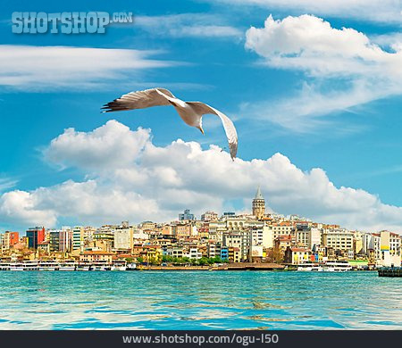 
                Bosporus, Istanbul, Galata                   