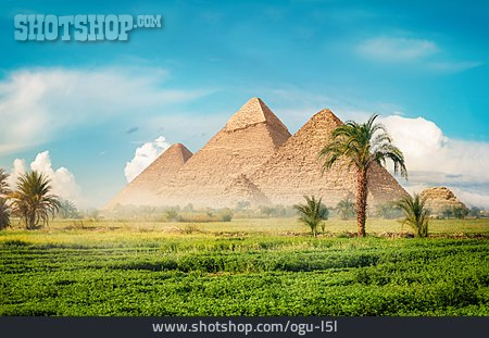 
                Wüste, Pyramiden Von Gizeh, Fruchtland                   