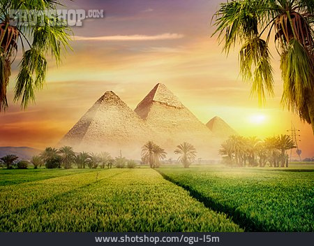 
                Pyramiden Von Gizeh, Fruchtland                   