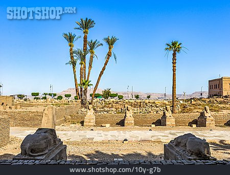 
                Archäologie, Luxor, Sphinx                   