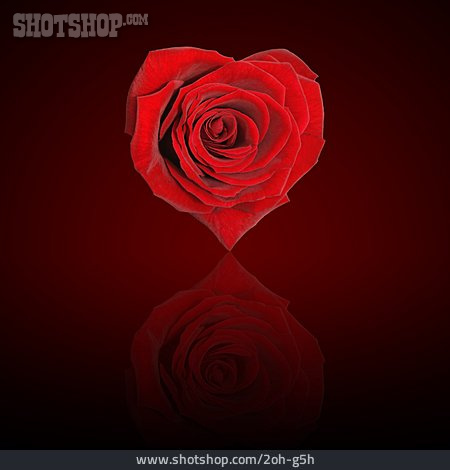 
                Liebe, Herzförmig, Rote Rose                   
