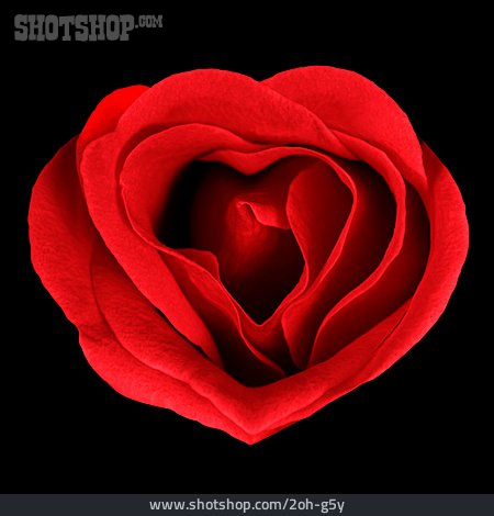 
                Liebe, Rose, Herzförmig                   