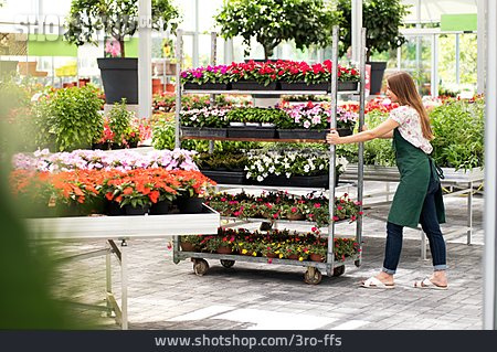 
                Employees, Inventory, Gardening                   