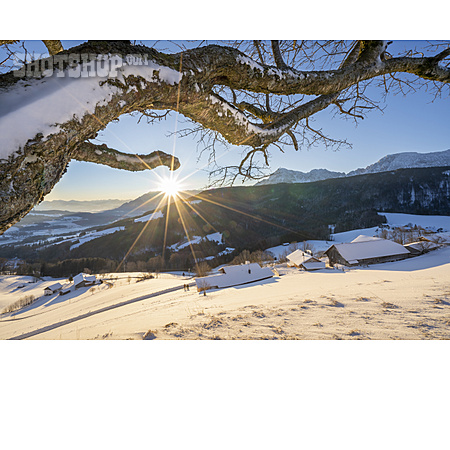 
                Winterlandschaft, Berchtesgadener Land, Wintersonne                   