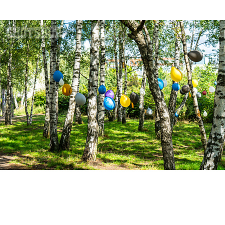 
                Bäume, Luftballons, Partydeko                   