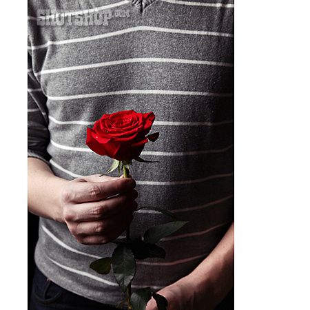 
                Rose, Geschenk, Valentinstag                   