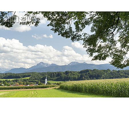 
                Oberbayern, Voralpenlandschaft                   