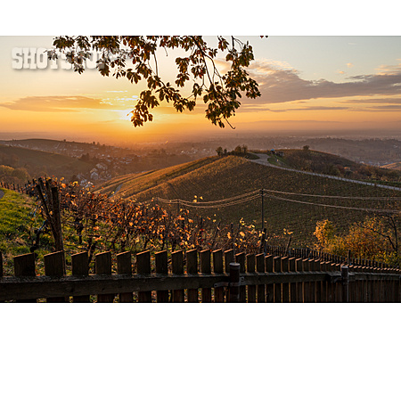 
                Sonnenaufgang, Herbst, Weinlandschaft                   
