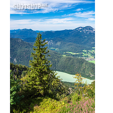 
                Berchtesgadener Land, Saalachsee                   