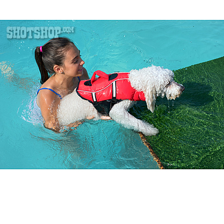 
                Hund, Pool, Schwimmtraining                   