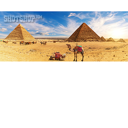
                Wüste, ägypten, Kamel, Pyramiden Von Gizeh                   