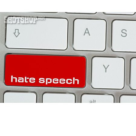 
                Hate Speech                   