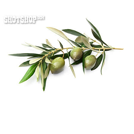 
                Grüne Olive                   