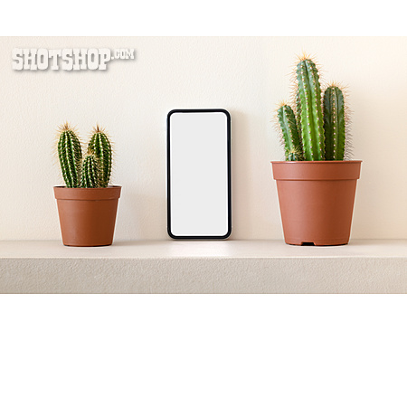 
                Kaktus, Smartphone                   